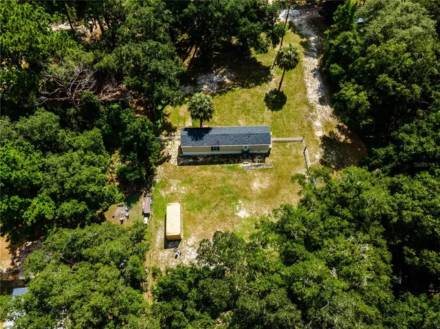 a view of a park with large trees
