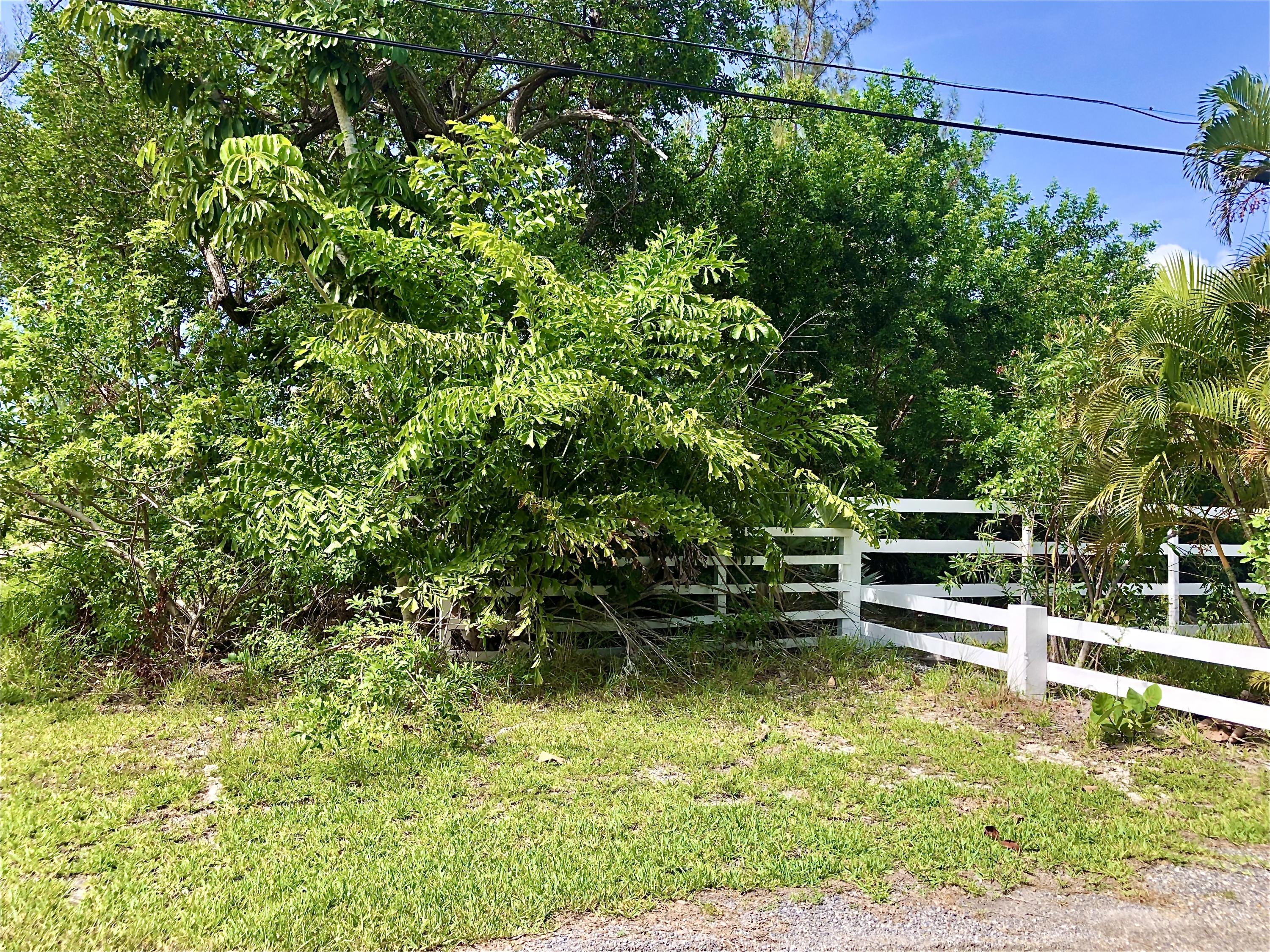 19088 Pelico Road Sugarloaf, FL 33042 - Photo 2 of 15 05AB0306-26D9-4CFF-82DF-42A152C6A52B
