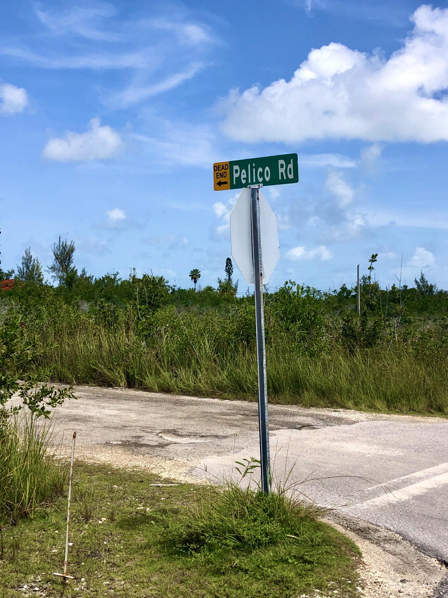 19088 Pelico Road Sugarloaf, FL 33042 - Photo 4 of 15 C13E2ED9-0615-4B9F-815E-65F343ED616F