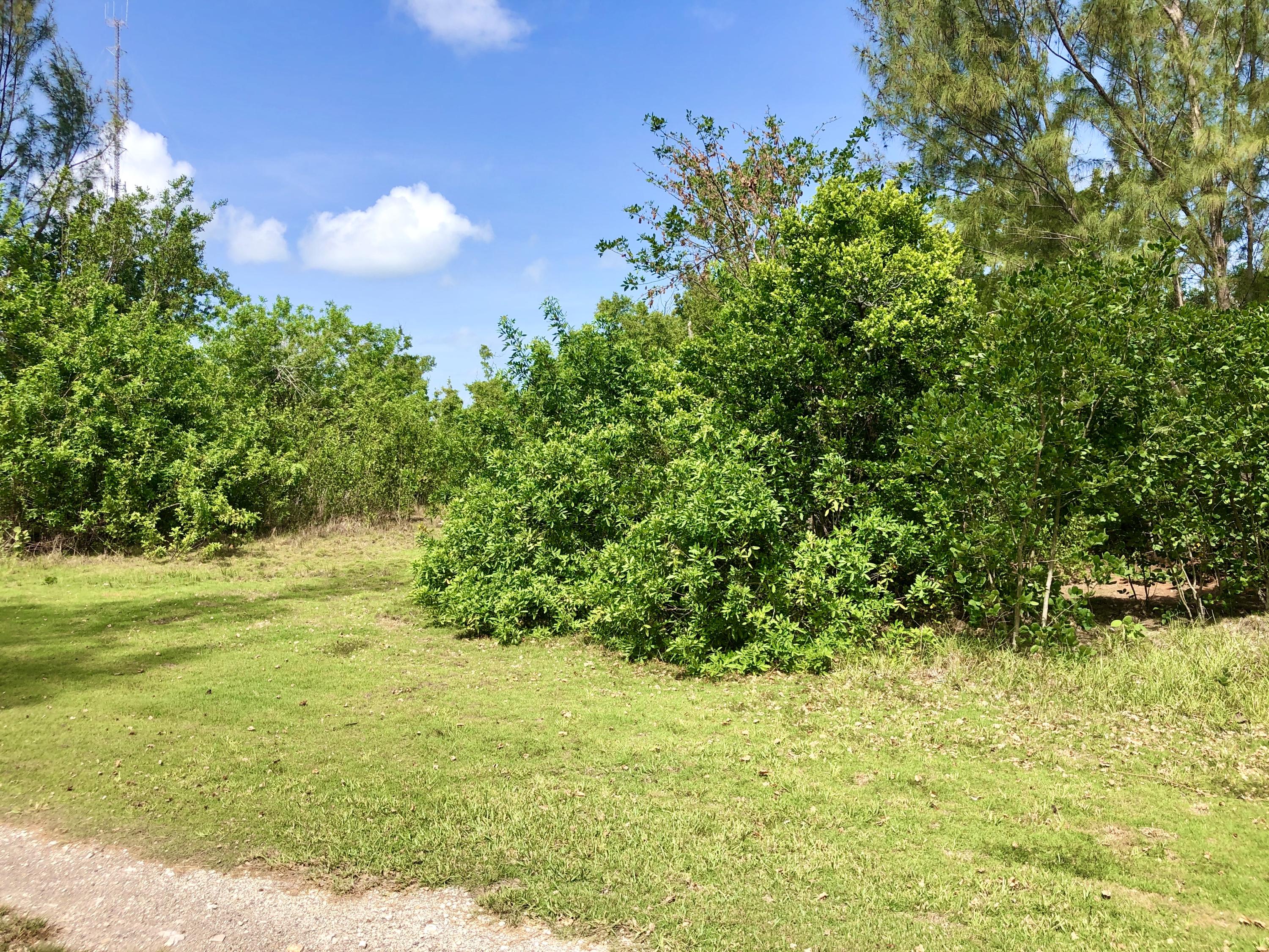 19088 Pelico Road Sugarloaf, FL 33042 - Photo 6 of 15 433D5DB8-D61D-4A03-992A-4E4668667DE1