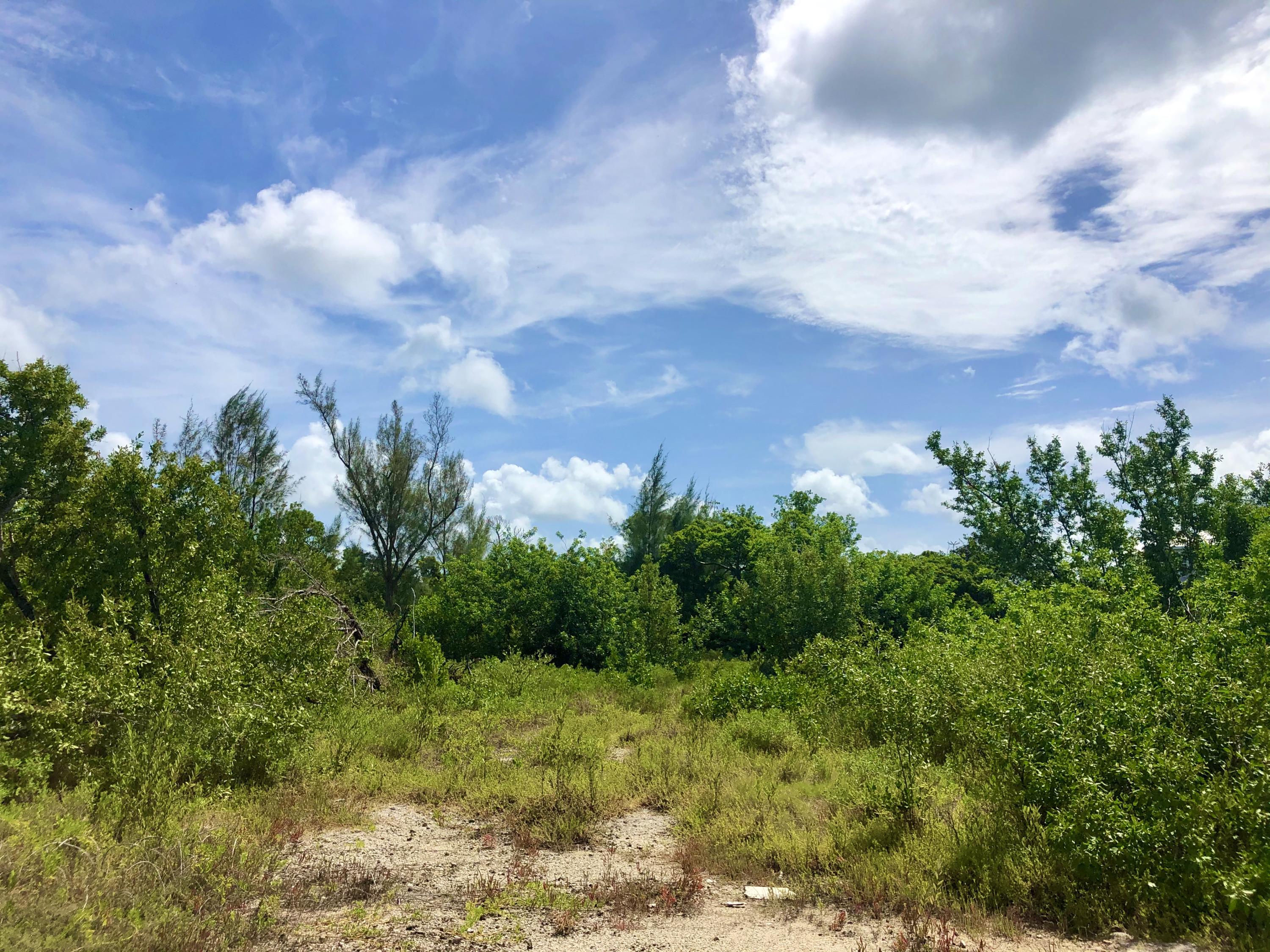 19088 Pelico Road Sugarloaf, FL 33042 - Photo 7 of 15 67C877D0-D407-44B4-B979-1A6CE6B323B8