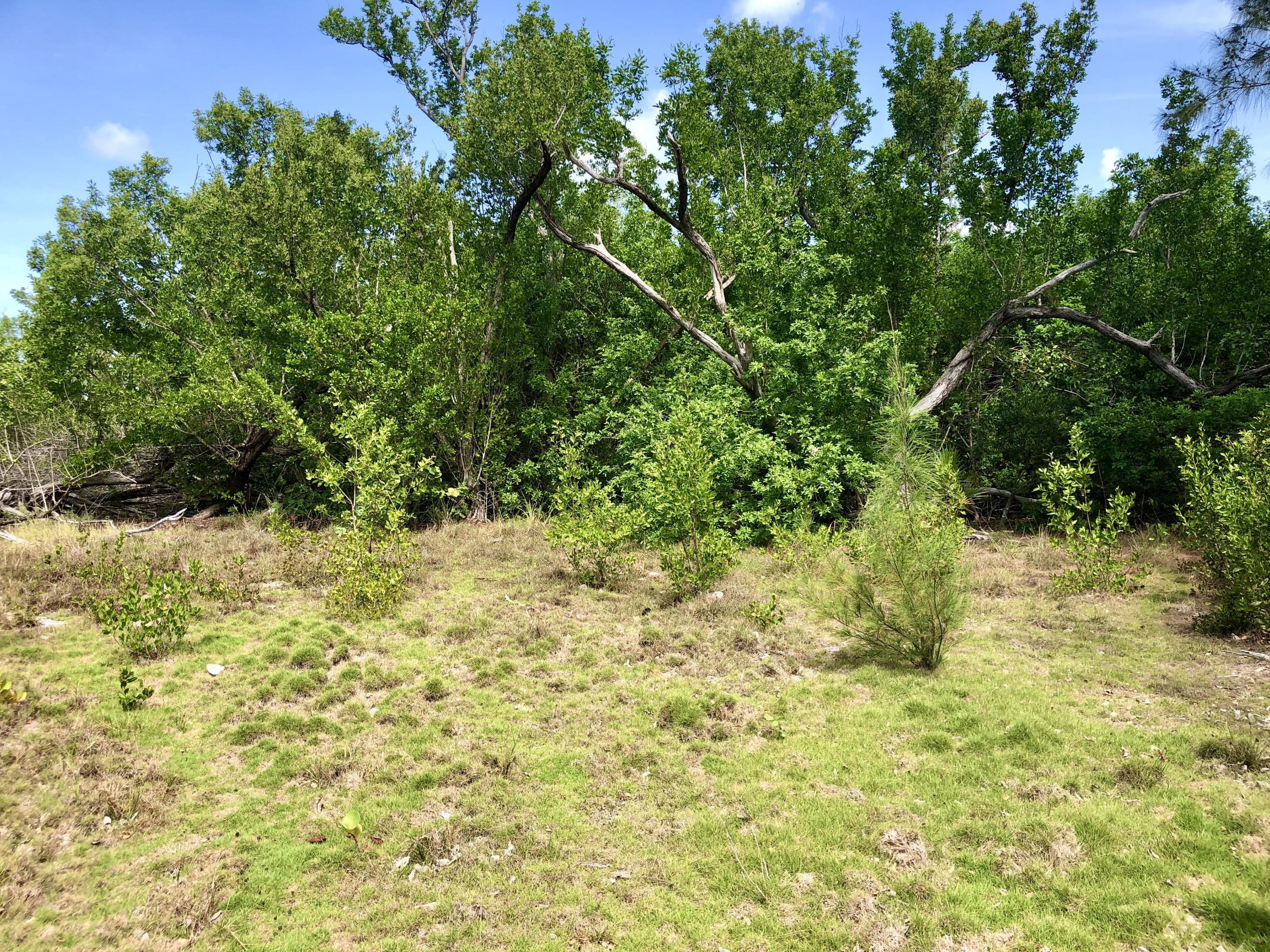 19088 Pelico Road Sugarloaf, FL 33042 - Photo 9 of 15 221A79E8-FBFA-4A03-B402-B3DC095374BE