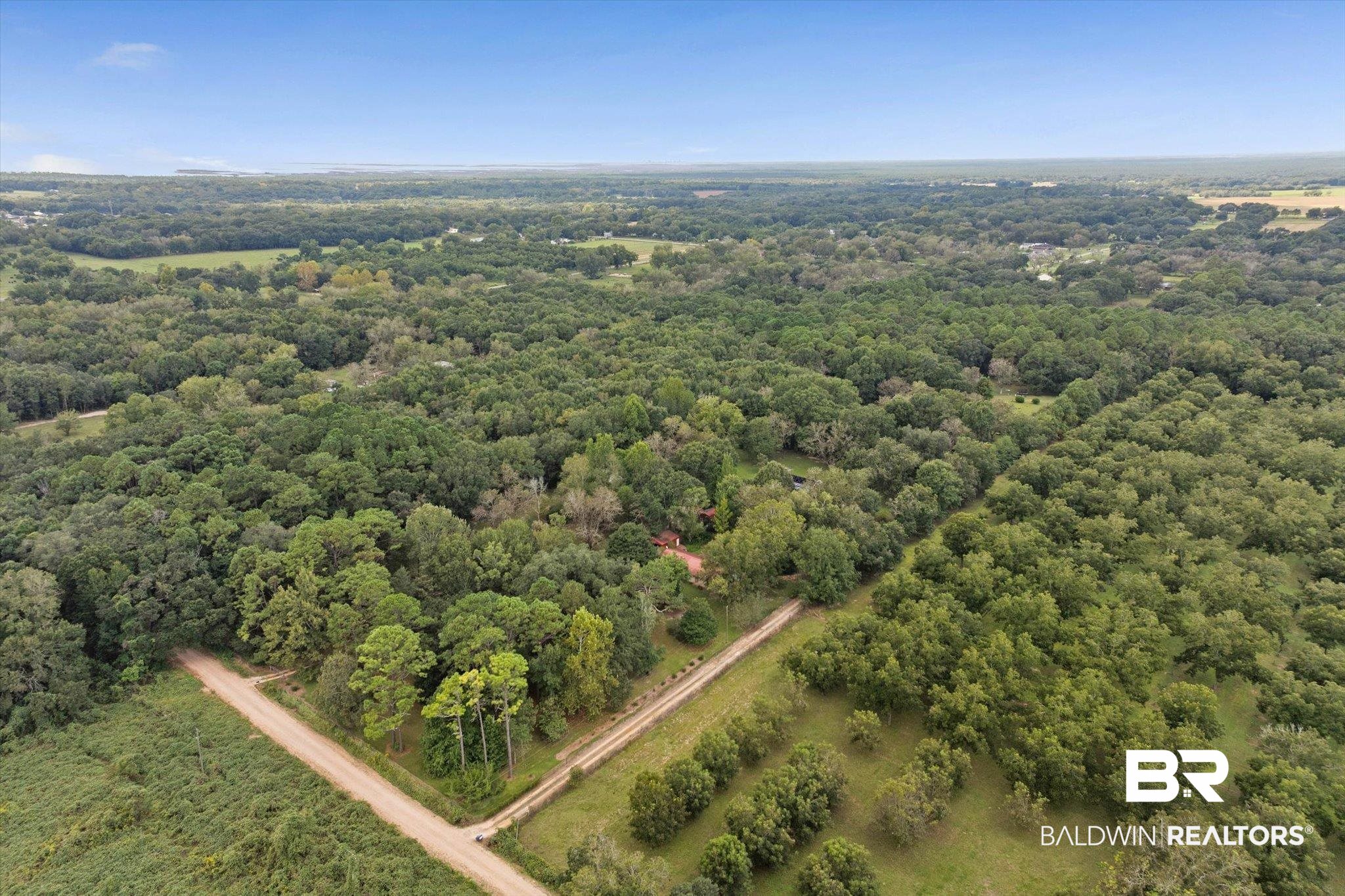 0 Dick Turner Road Grand Bay, AL 36541 - Photo 6 of 13 Aerial view