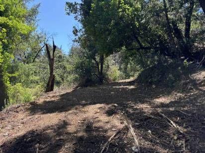 360 Rincon Way Boulder Creek, CA 95006 - Photo 1 of 5 a view of a forest with trees
