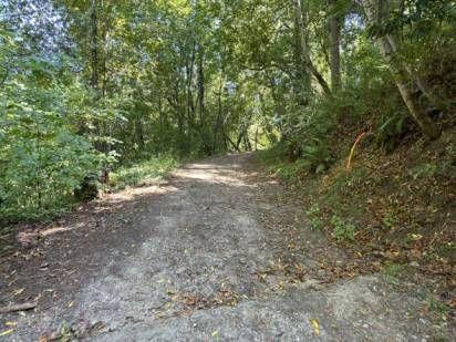 360 Rincon Way Boulder Creek, CA 95006 - Photo 2 of 5 a view of a yard with a tree