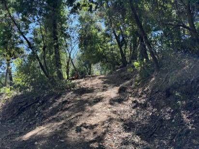 360 Rincon Way Boulder Creek, CA 95006 - Photo 3 of 5 a view of a forest with trees in the background