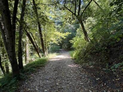 360 Rincon Way Boulder Creek, CA 95006 - Photo 4 of 5 a view of outdoor space and trees
