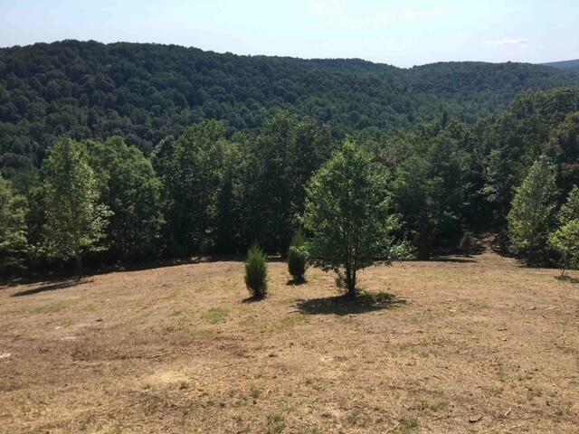 487 Sabo Road Grandview, TN 37337 - Photo 40 of 48 Mountain View (4)