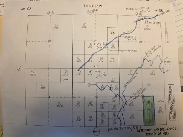 a view of a dry yard