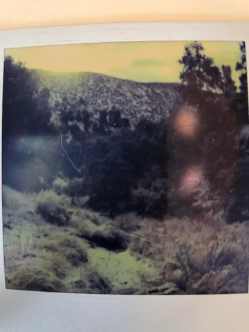 a view of a dry yard with wooden fence