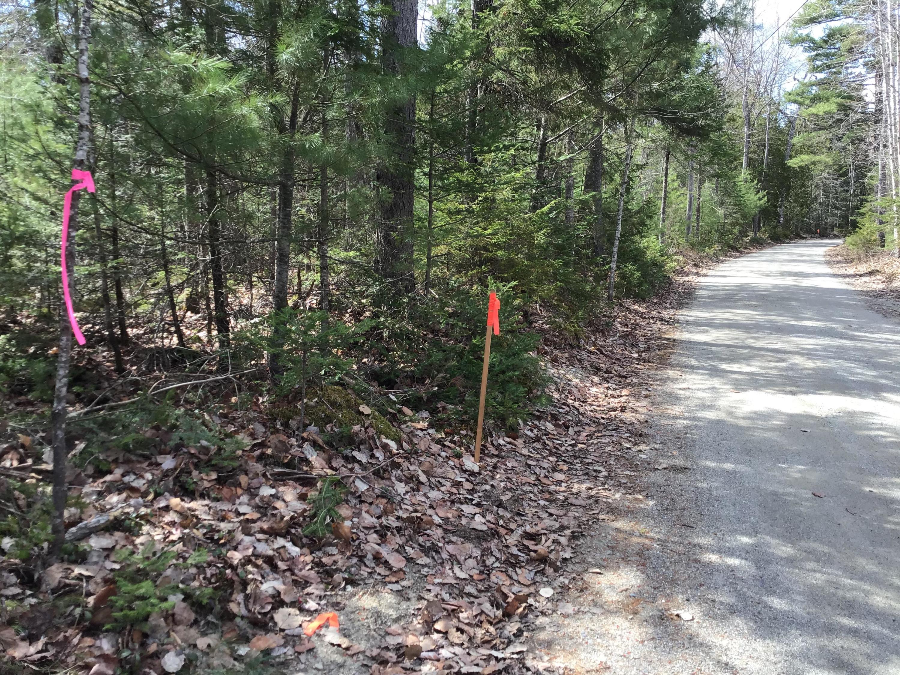 Lot 10 Tannery Brook Road Ellsworth, ME 04605 - Photo 11 of 11 IMG_3813