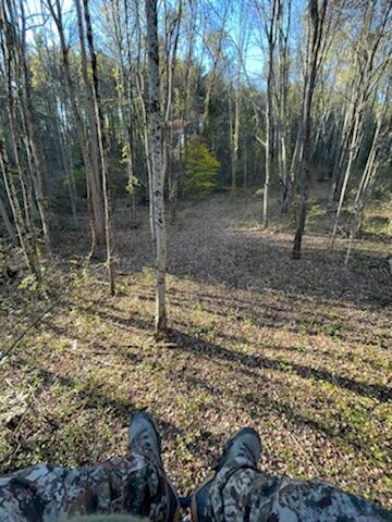 57640 St John Road Quaker City, OH 43773 - Photo 28 of 51 View From Tree Stand-4