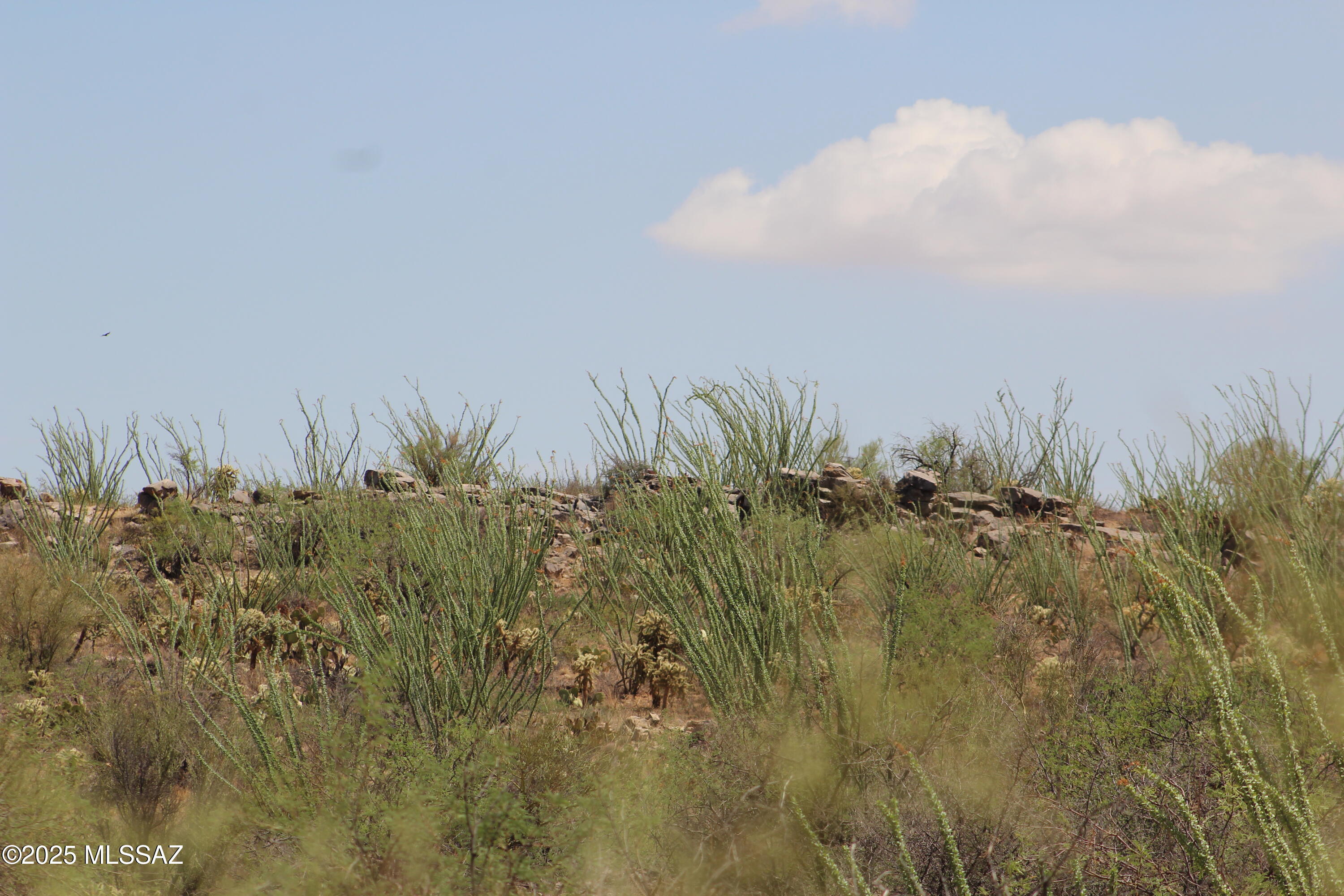 Tbd South Garvey Road Tucson, AZ 85736 - Photo 10 of 13