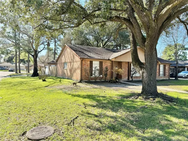 a view of a house with swimming pool and a large tree