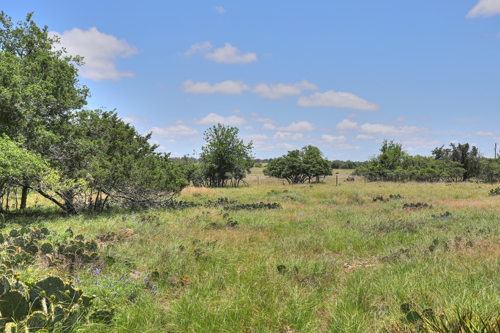 2600 Reservation Road Harper, TX 78631 - Photo 12 of 16