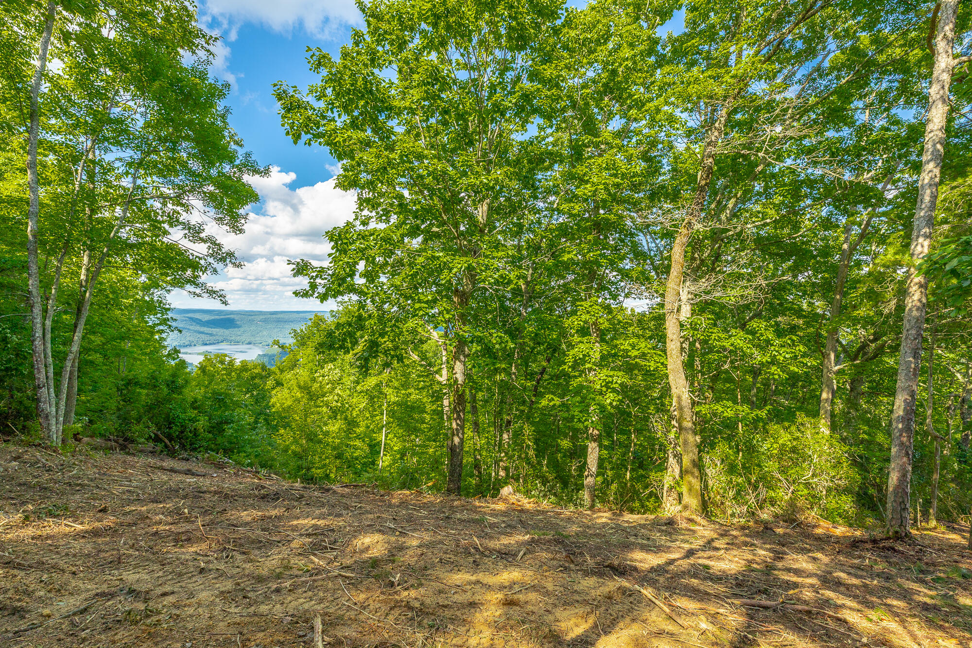 0 Back Basin Trail, Unit LOT 1244 Chattanooga, TN 37419 - Photo 30 of 119 MCW Correction HD-34