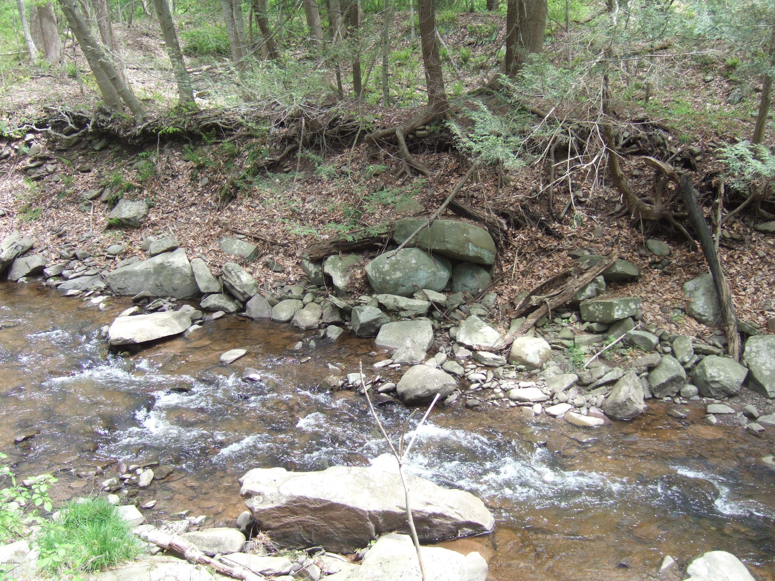20 Old Peggy Runway Road Beach Lake, PA 18405 - Photo 24 of 26 Atco Creek at Rear