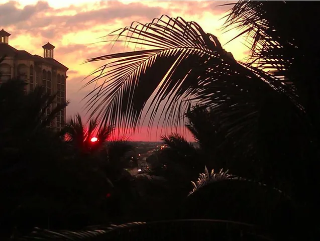 $3,150 | 801 South Olive Avenue, Unit 921, West Palm Beach, FL 33401