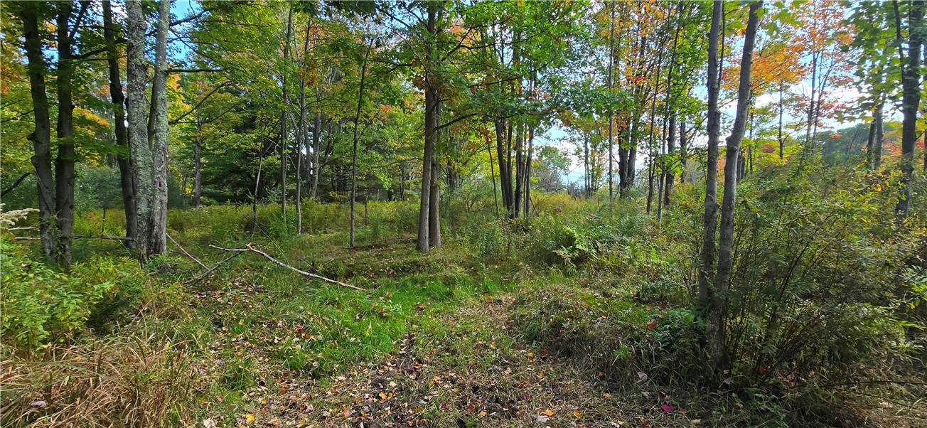 4740 Tucker Road Thurston, NY 14821 - Photo 18 of 46 Gallery Image 18