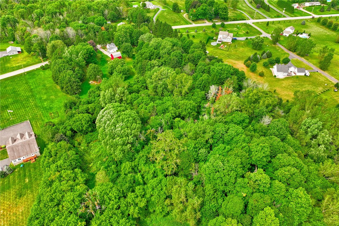 5422 Lincoln Road Walworth, NY 14519 - Photo 40 of 49 Aerial view from the back of the property.