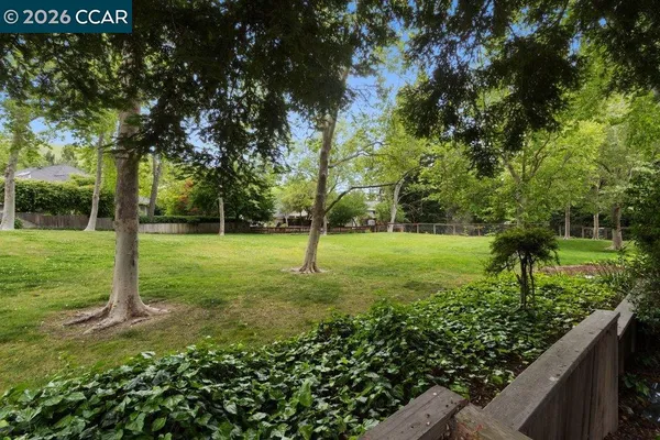a view of yard with patio