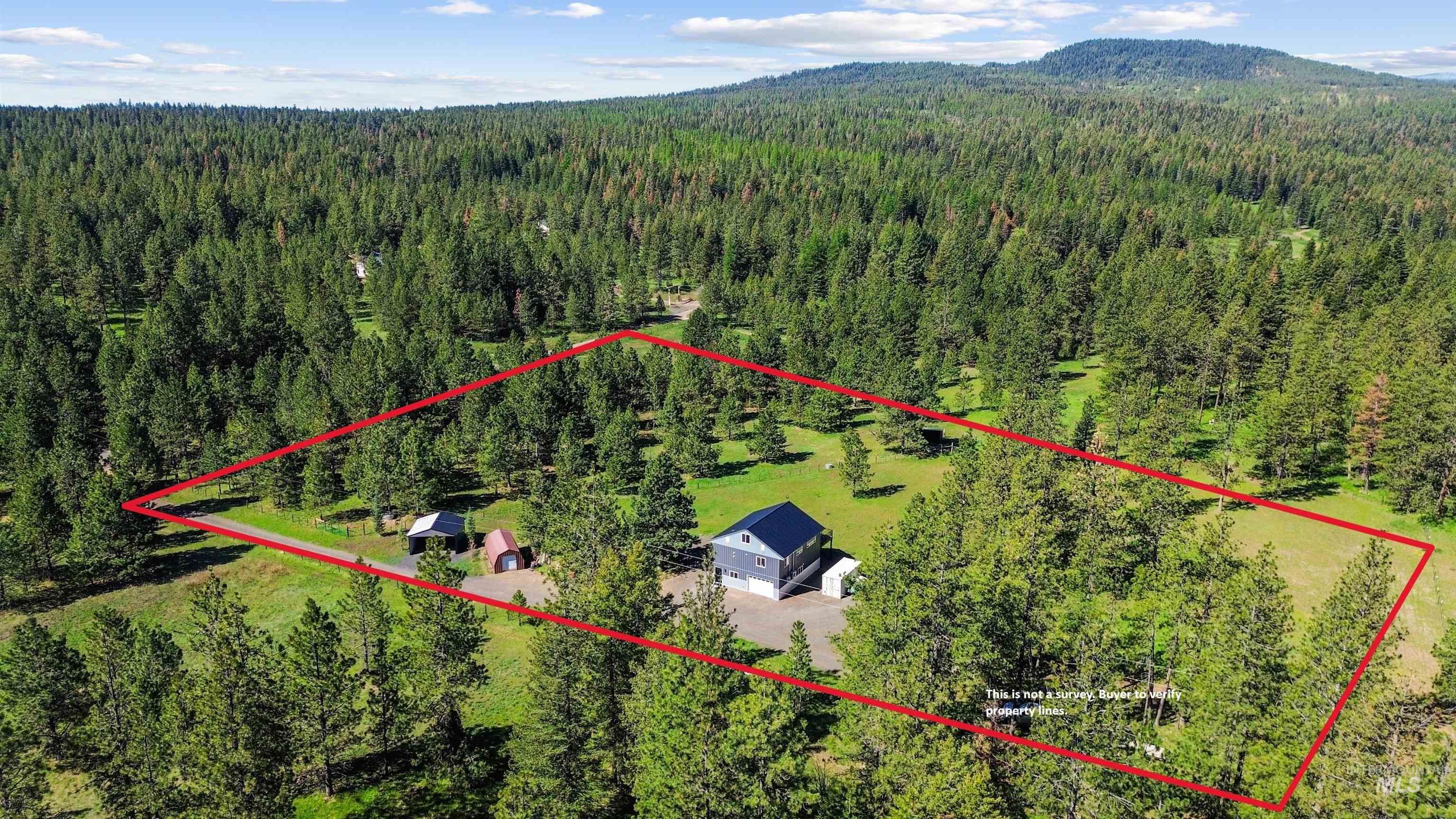 507 Bearlea Road Anatone, WA 99401 - Photo 33 of 47 Aerial perspective showcasing a property surrounded by extensive natural woodland