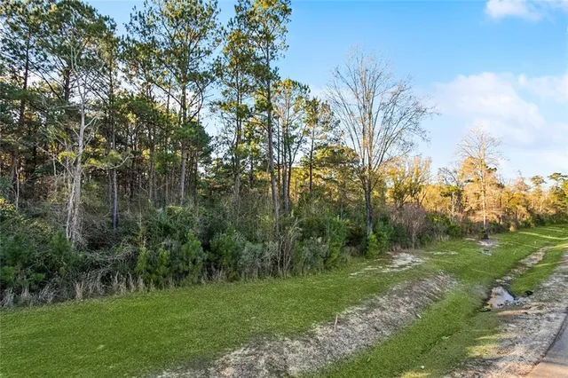 $270,000 | 12509 Goldentop Drive, Covington, LA 70433