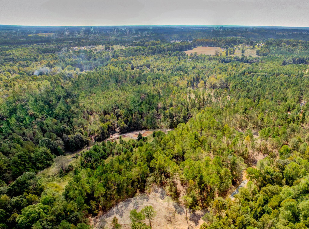 490 Whittington Road Angier, NC 27501 - Photo 15 of 19 a view of a green field