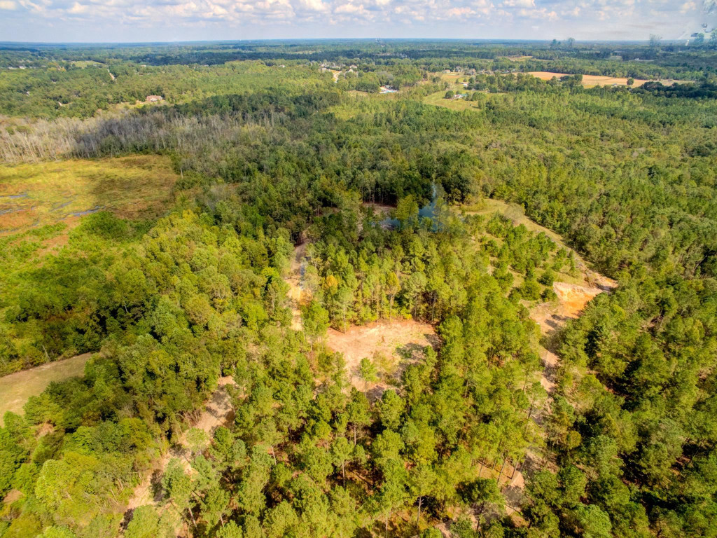490 Whittington Road Angier, NC 27501 - Photo 17 of 19 a view of a field with an ocean view