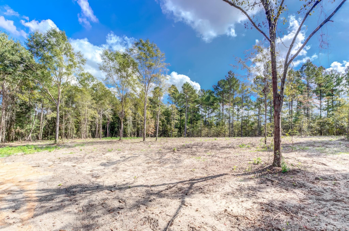 490 Whittington Road Angier, NC 27501 - Photo 2 of 19 a view of a yard with trees