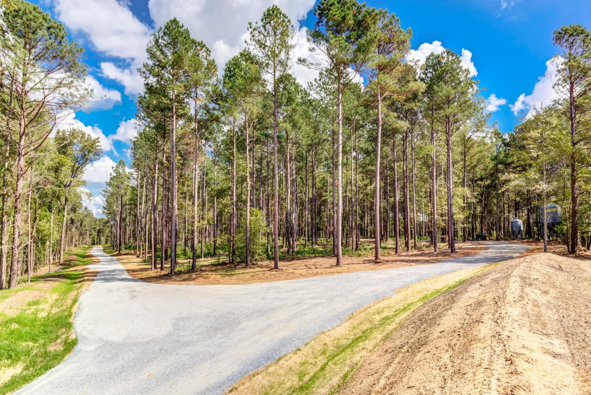 490 Whittington Road Angier, NC 27501 - Photo 5 of 19 a view of a building with trees