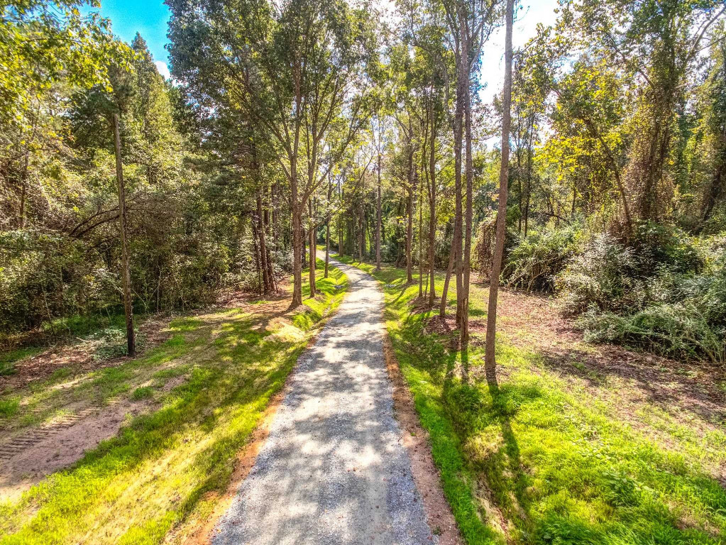 490 Whittington Road Angier, NC 27501 - Photo 8 of 19 a view of yard