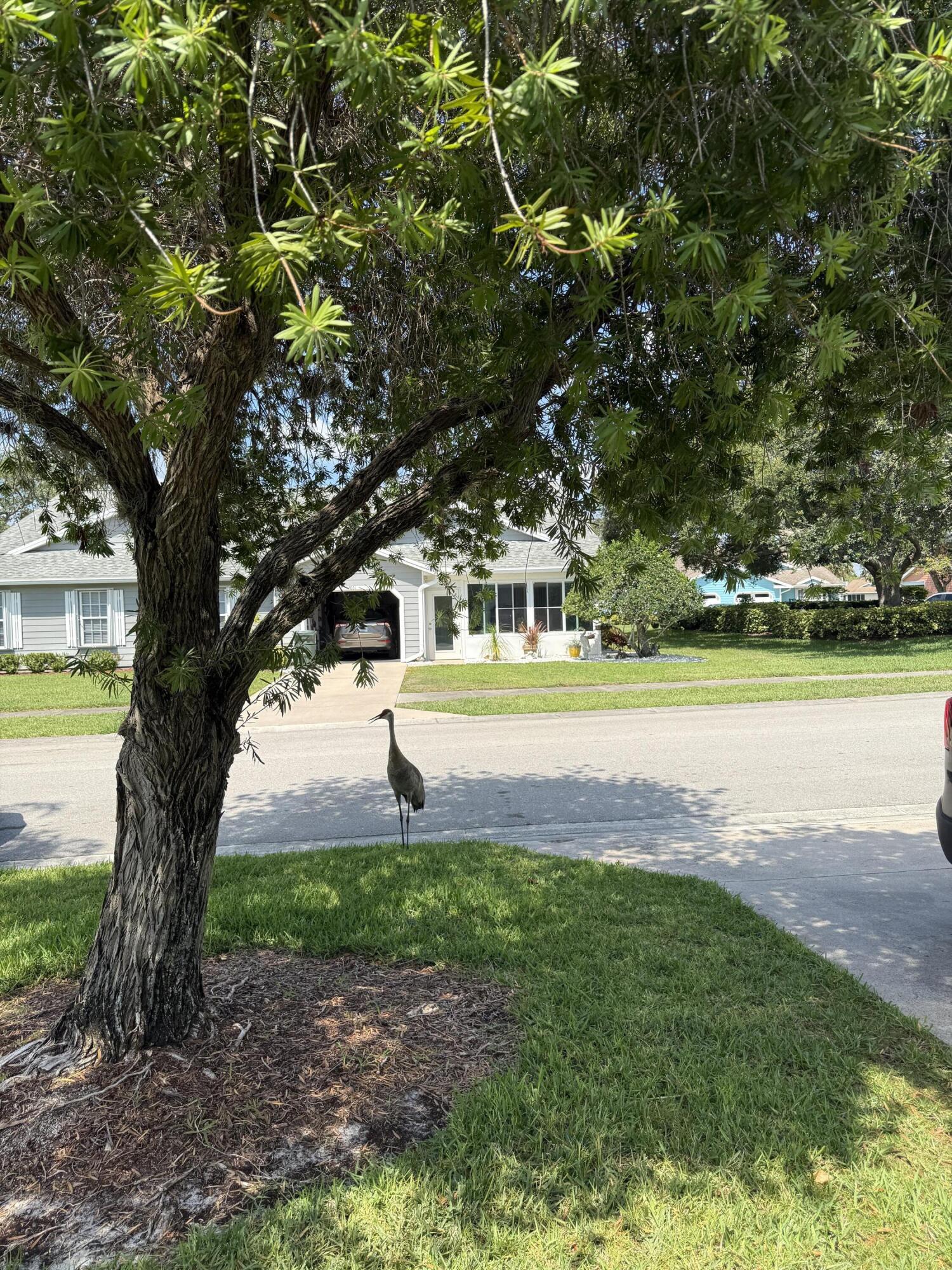 4050 Gator Trace Road Fort Pierce, FL 34982 - Photo 14 of 17 CD1E895F-E729-4D43-AD89-97191E18E380