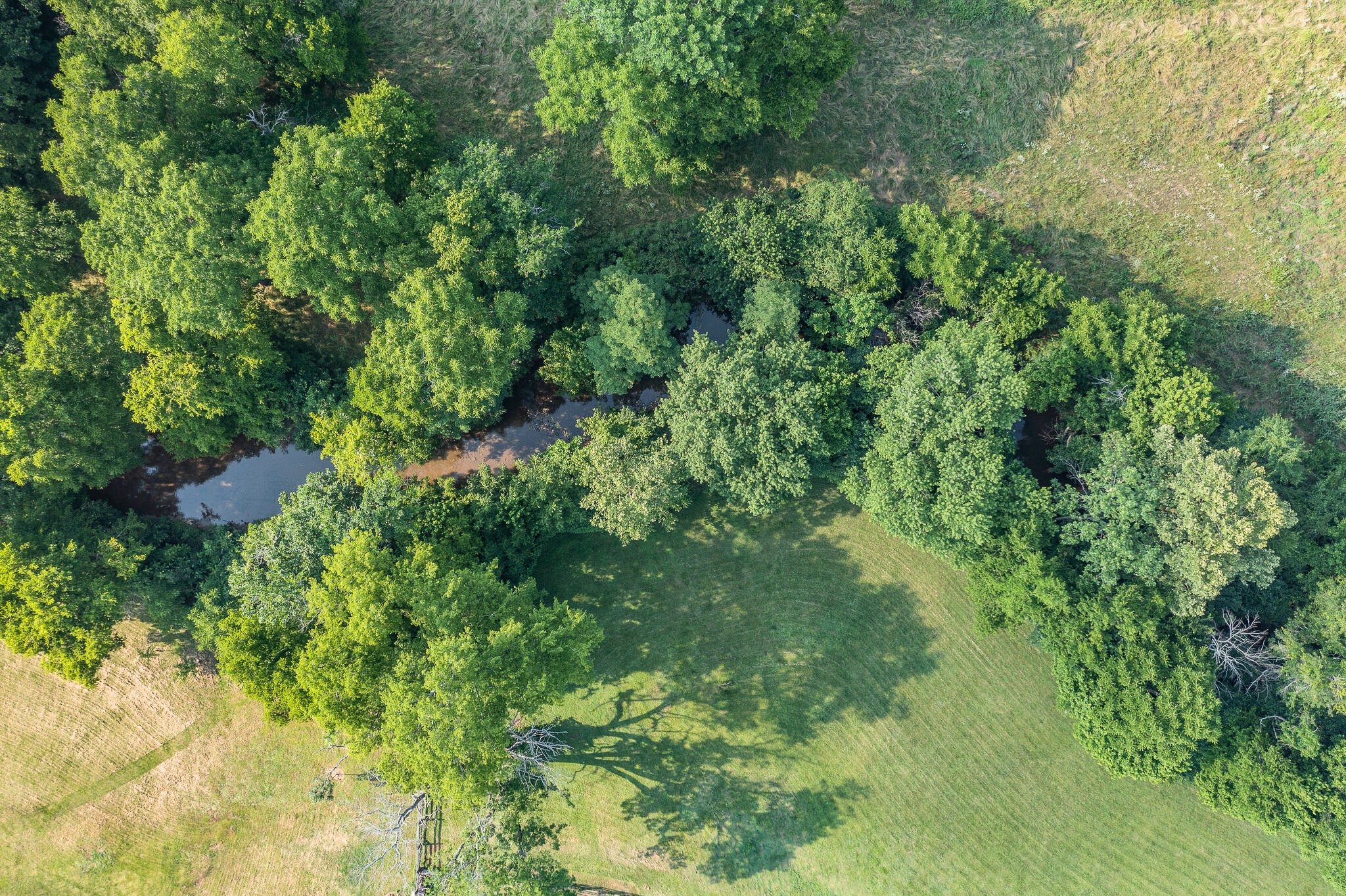 3928 Bigbyville Road Columbia, TN 38401 - Photo 63 of 68 Gallery Image 63