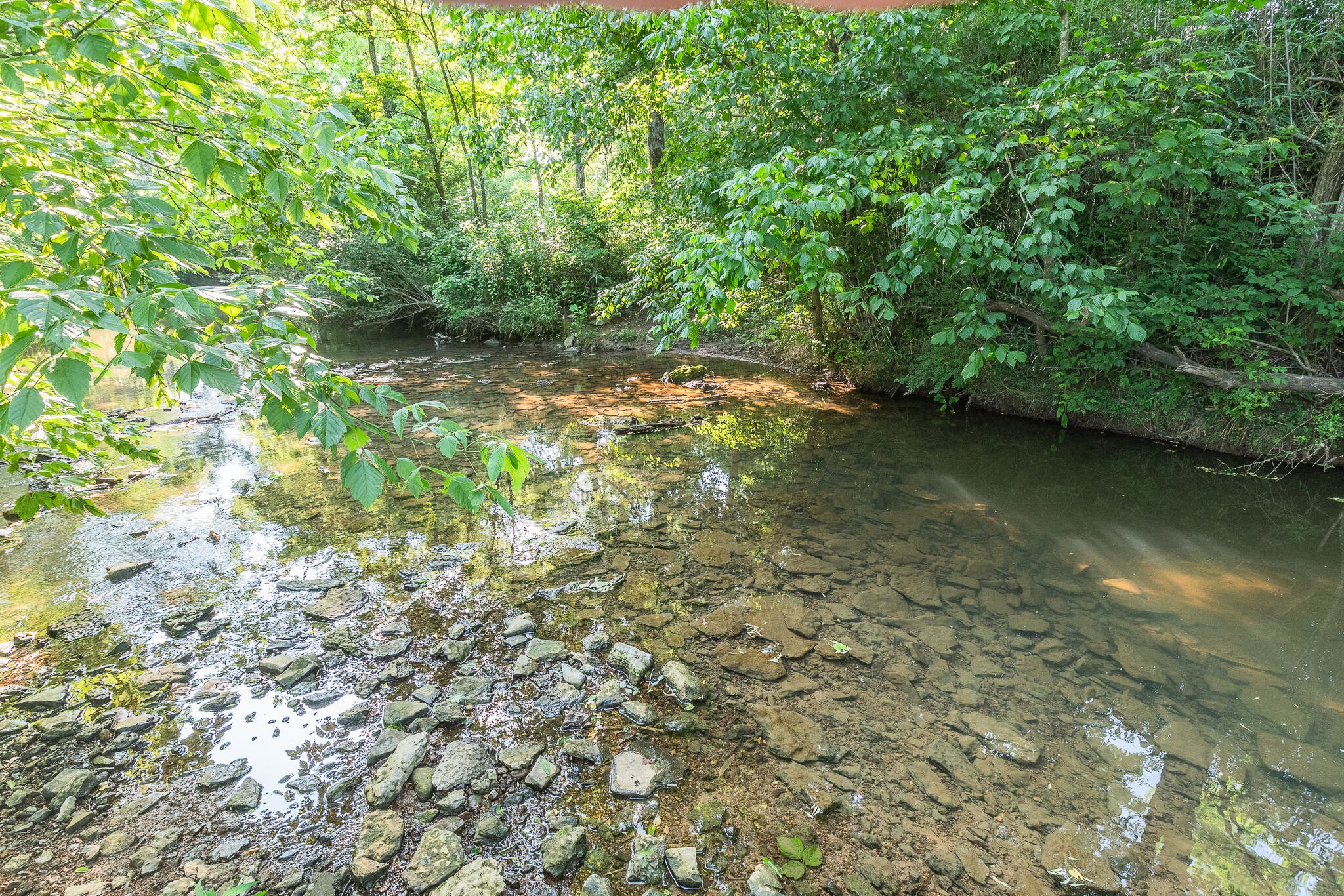 3928 Bigbyville Road Columbia, TN 38401 - Photo 65 of 68 Gallery Image 65