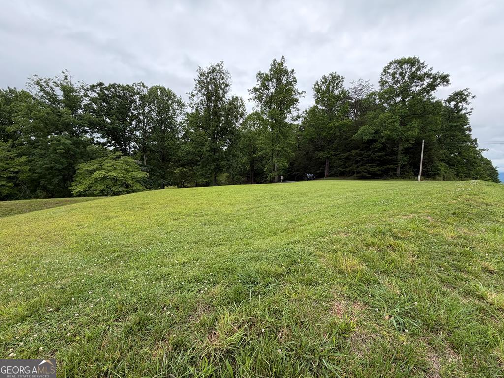 0 Drake Ridge Drive Hayesville, NC 28904 - Photo 2 of 4