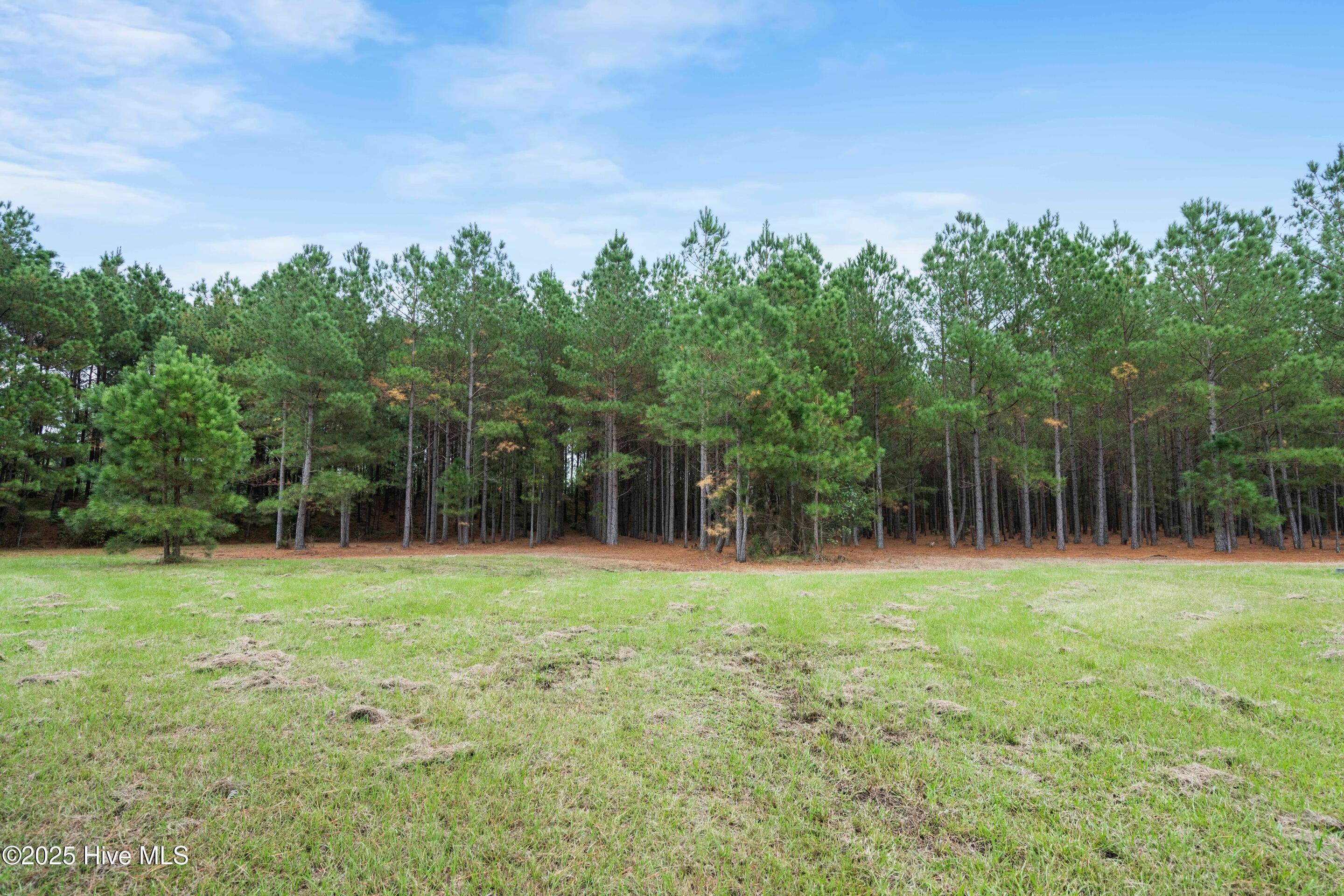 328 Cellars Way Wallace, NC 28466 - Photo 11 of 26 Street View