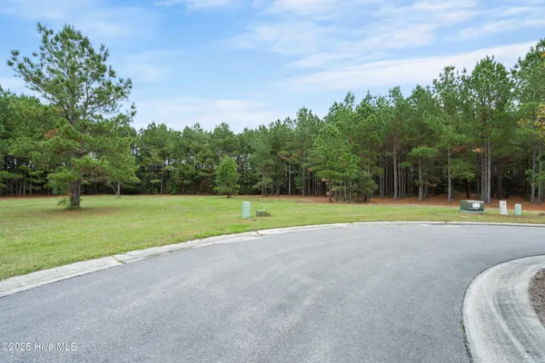 $29,000 | 328 Cellars Way, Wallace, NC 28466