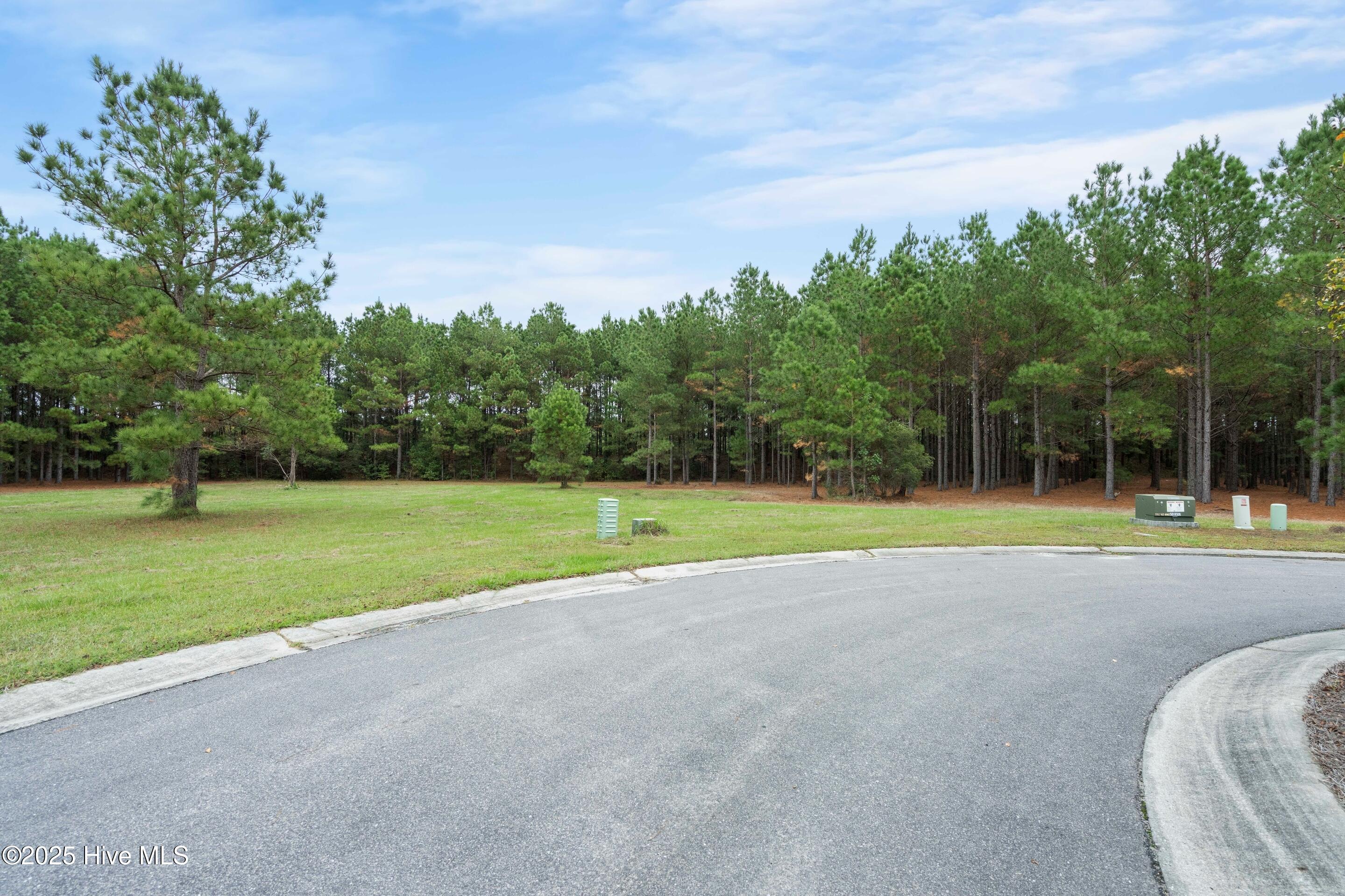 328 Cellars Way Wallace, NC 28466 - Photo 12 of 26 Street View