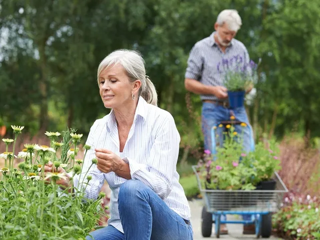 a room with lots of trees