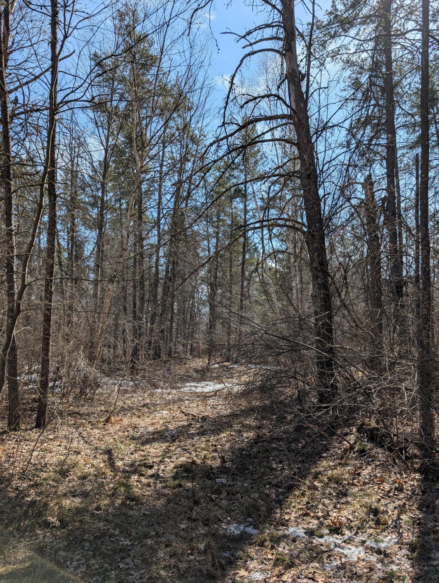 0 Other Springbrook, WI 54875 - Photo 15 of 27 Gallery Image 15