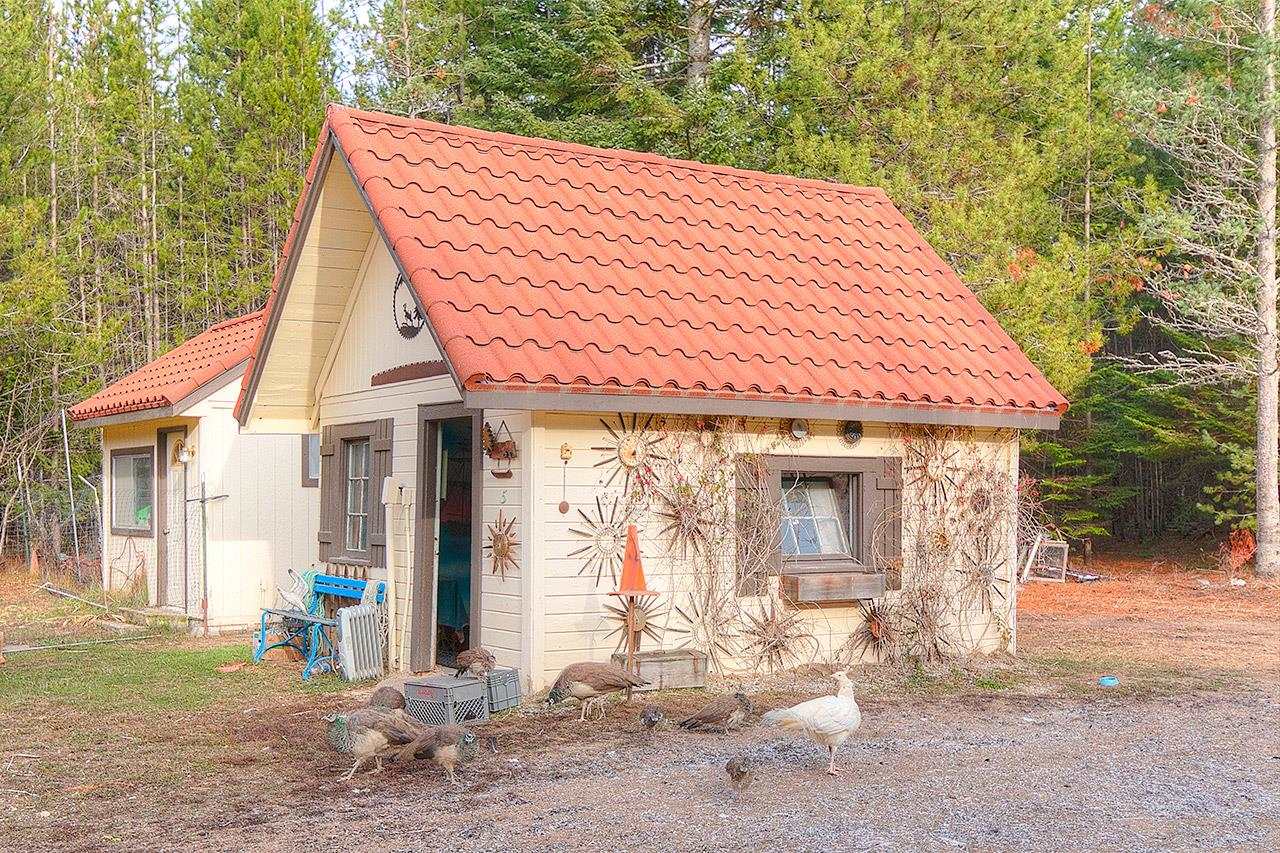 4617 South Swenson Road Clayton, WA 99110 - Photo 27 of 42