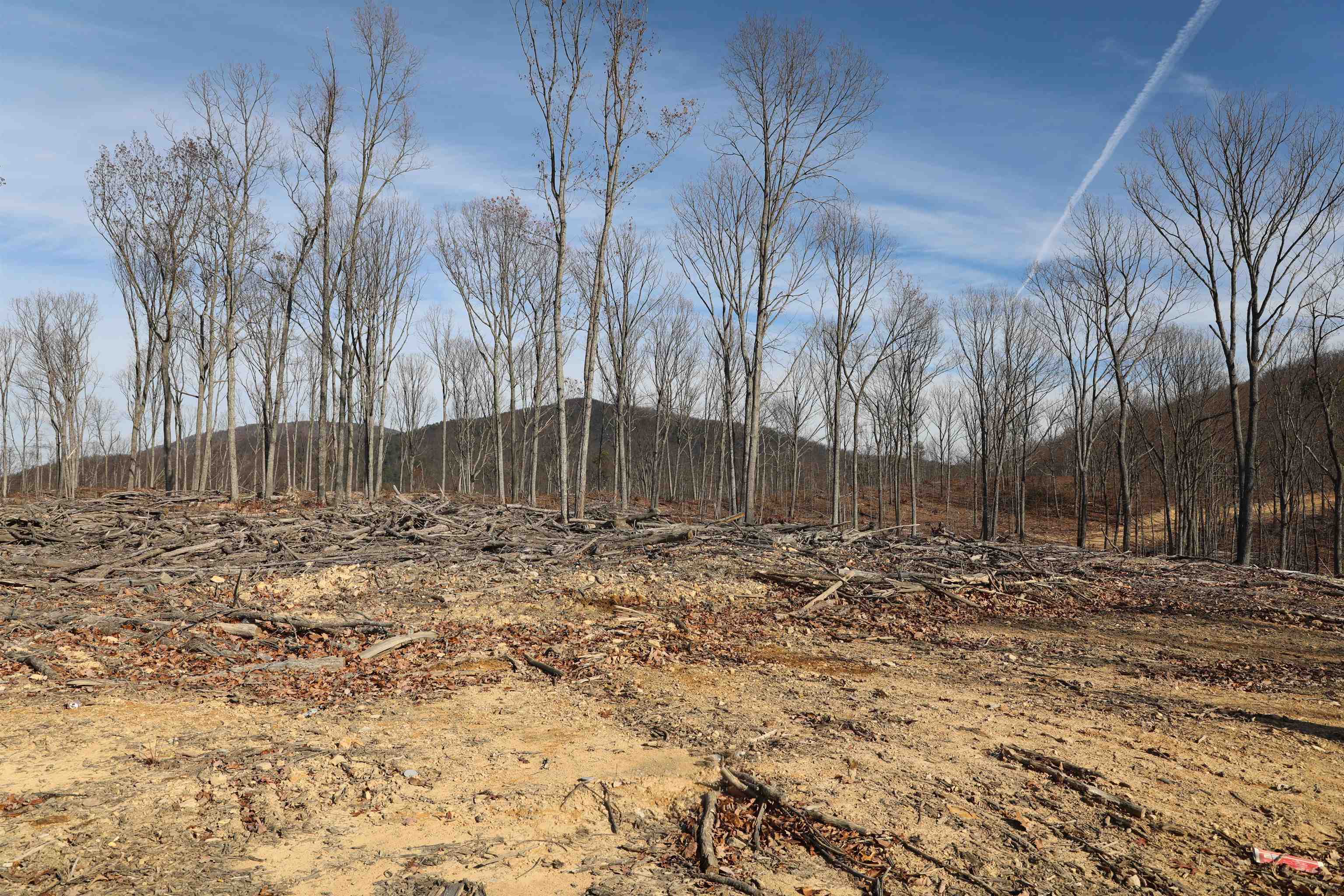 0 Calf Mountain Road Waynesboro, VA 22980 - Photo 7 of 39 a backyard of a house