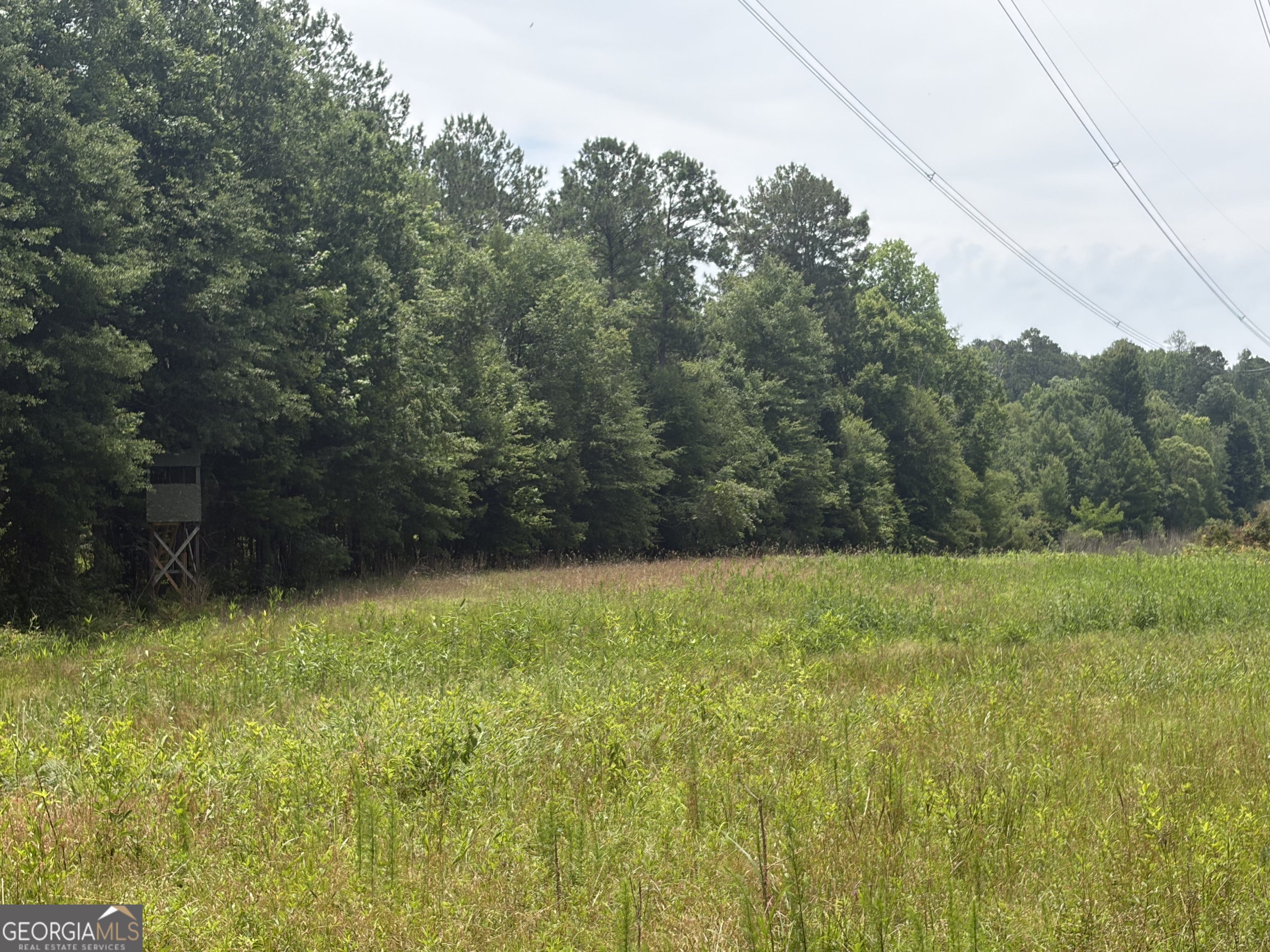 3 Sunhill Grange Road Sandersville, GA 31018 - Photo 9 of 11