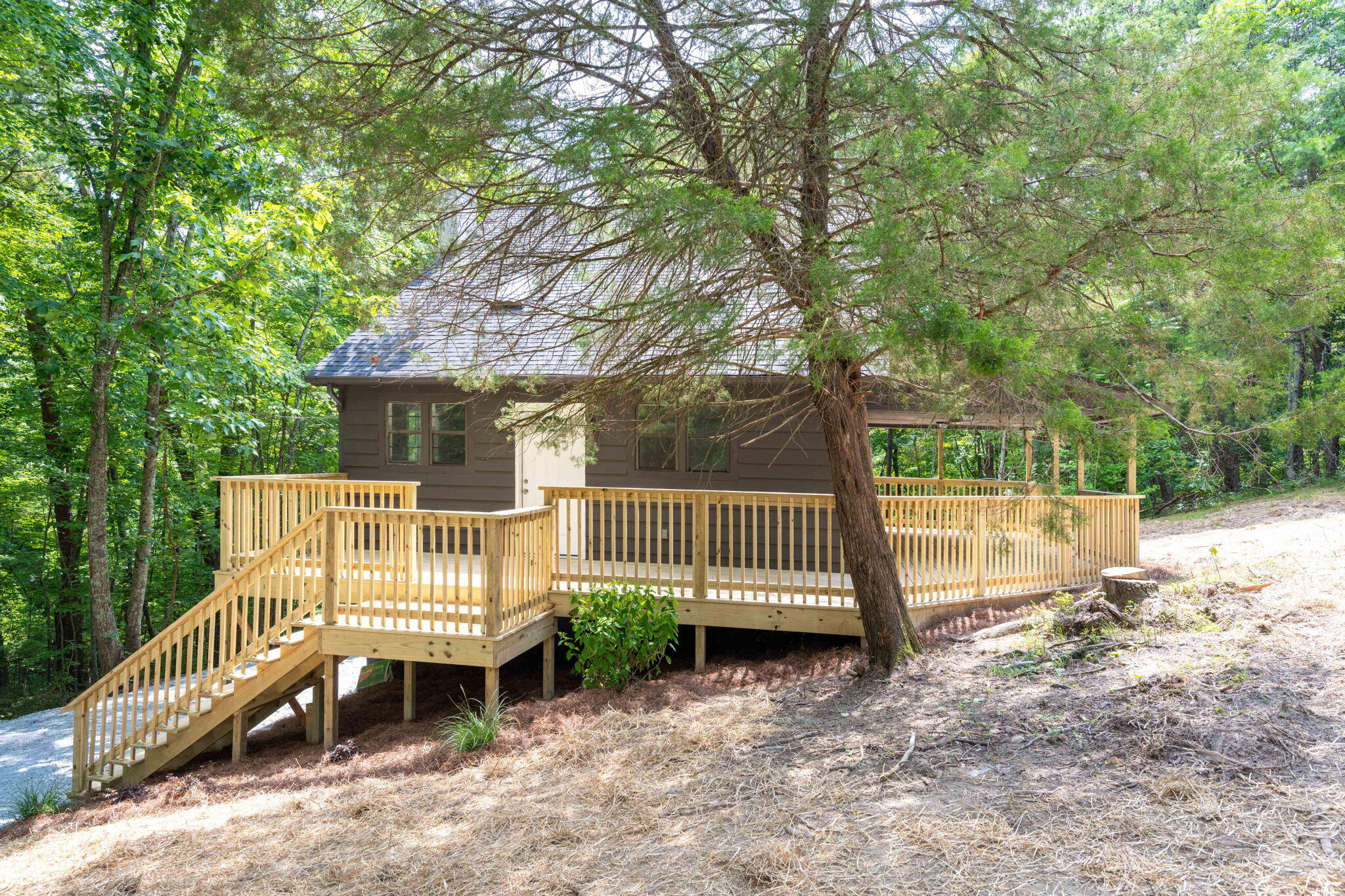 184 Hickory Drive Spring City, TN 37381 - Photo 33 of 37 33-web-or-mls-DSC_8310