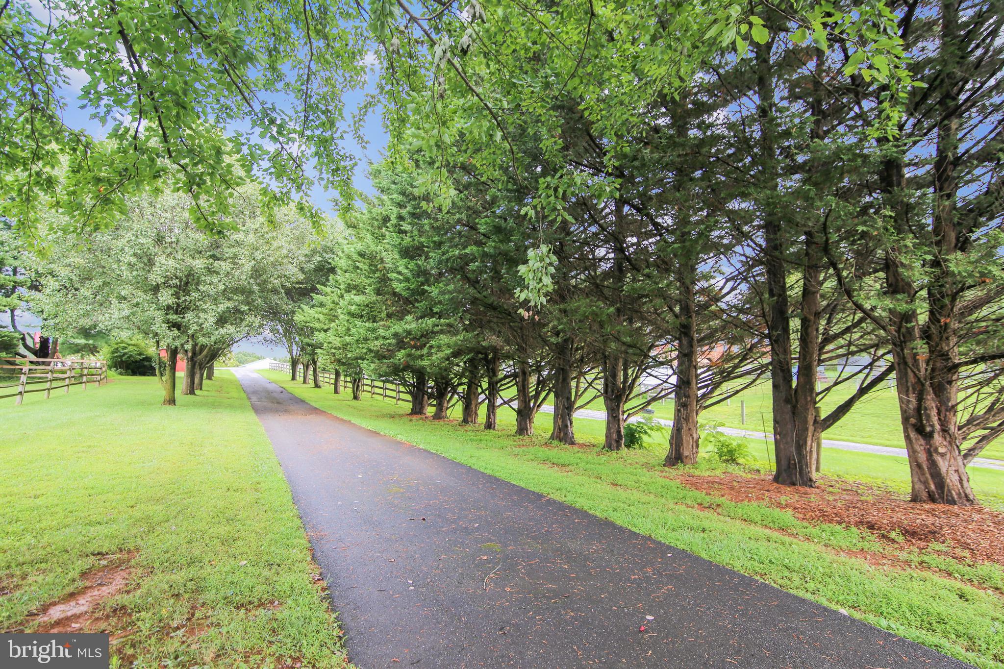 13030 Prices Distillery Road Clarksburg, MD 20871 - Photo 23 of 90 Treed lined driveway leads to the house