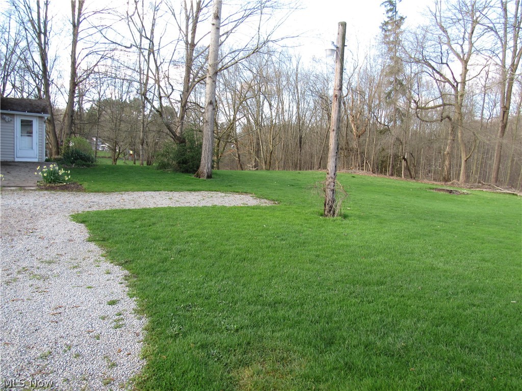7541 Cooley Road Ravenna, OH 44266 - Photo 6 of 32 View of backyard