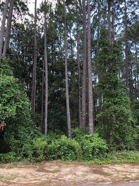 Tbd Lot 11 Tbd Circle Santa Rosa Beach, FL 32459 - Photo 1 of 13 a view of forest