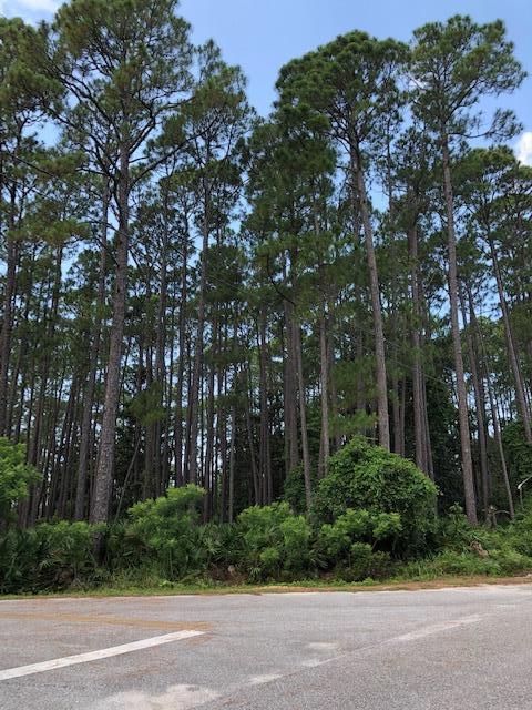 Tbd Lot 11 Tbd Circle Santa Rosa Beach, FL 32459 - Photo 5 of 13 a view of a park