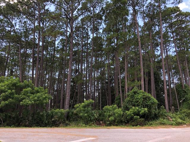 Tbd Lot 11 Tbd Circle Santa Rosa Beach, FL 32459 - Photo 6 of 13 a view of backyard with plants and trees